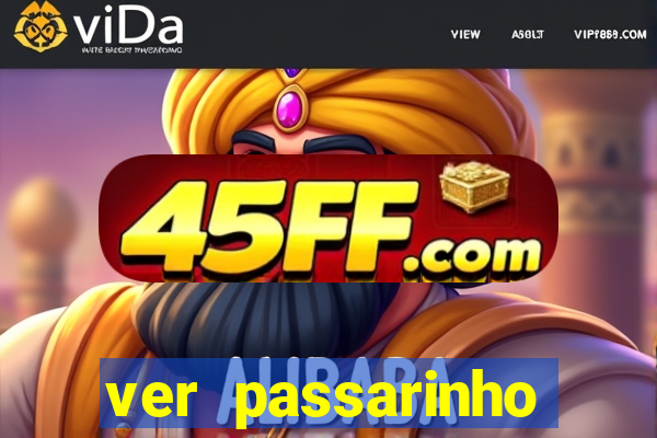 ver passarinho morto significado espiritual